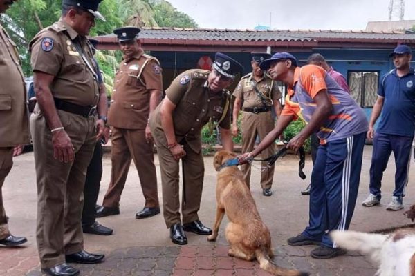 New police dogs