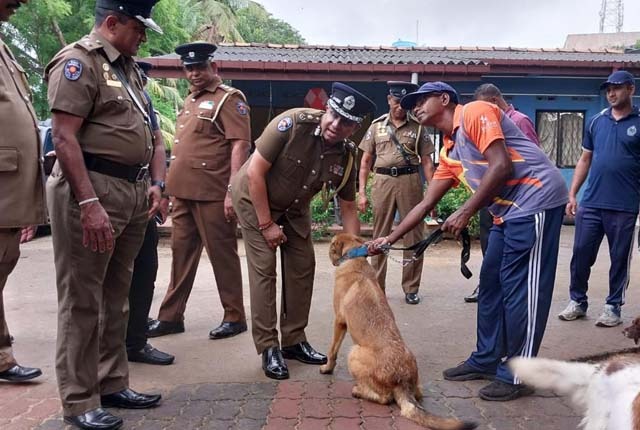 New police dogs